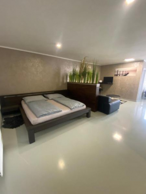 Apartments renesance 1